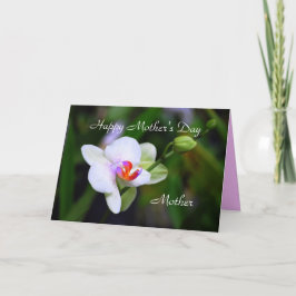 Glückliche Mutter Muttertagsmutter Phalaenopsis Or Karte