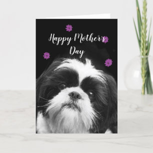 Glückliche Mutter Tag Shih Tzu Grußkarte Feiertagskarte
