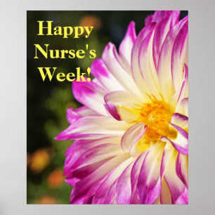 Glückliche Nurses Week! Plakate drucken Nurse RN