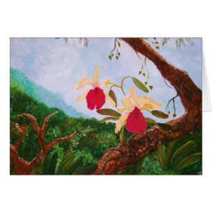 GLÜCKLICHE ORCHIDEEN