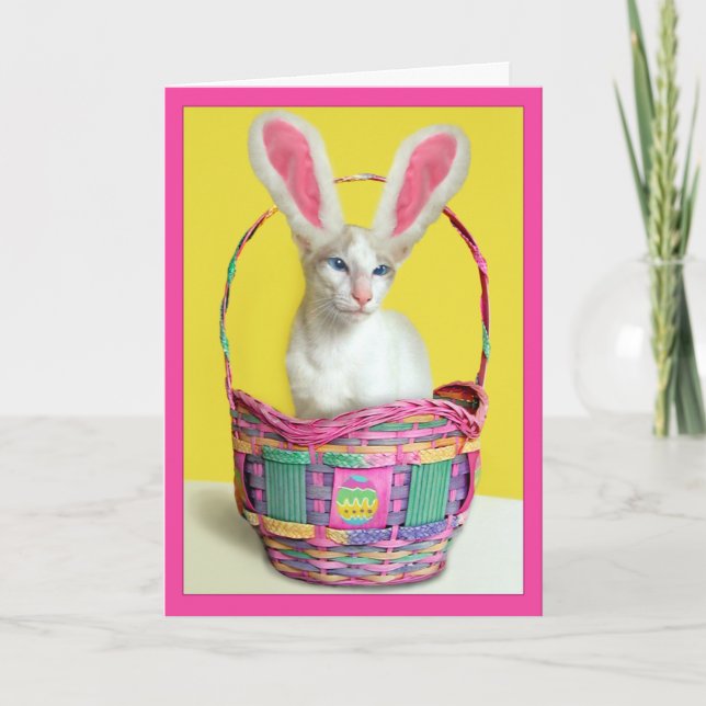 Glückliche Osterhasen-Katze Feiertagskarte (Vorderseite)