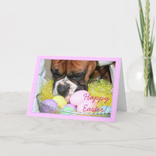 Glückliche Ostern-Boxergrußkarte Feiertagskarte