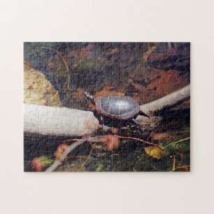 Glückliche Schildkröte Puzzle