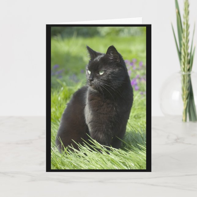 Glückliche schwarze Katze Karte (Vorderseite)
