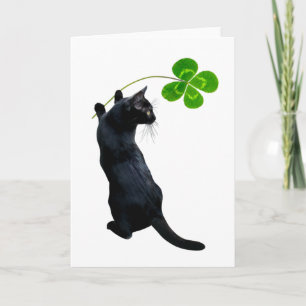 Glückliche schwarze Katze mit 4-Blatt-Kleeblatt-Ka Karte