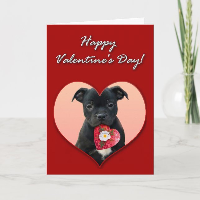 Glückliche Valentiner-Bullterenkarte Staffordshire Feiertagskarte (Vorderseite)