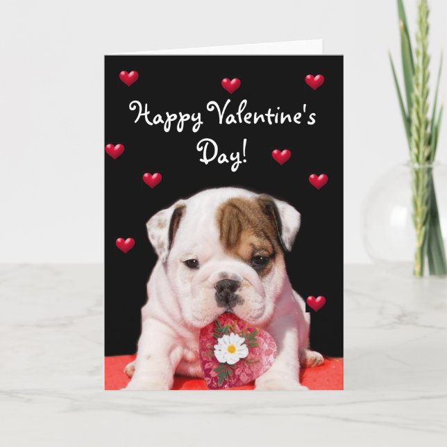 Glückliche Valentinstag-Bulldoggengrußkarte Feiertagskarte (Vorderseite)