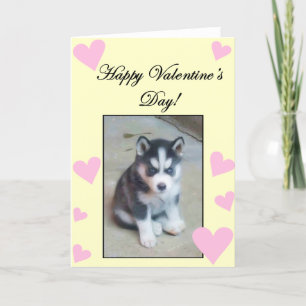 Glückliche Valentinstag-Husky-Welpenkarte Feiertagskarte