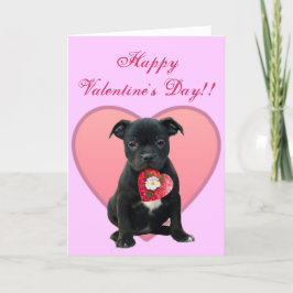 Glückliche Valentinstag Pitbull Welpen-Grußkarte Feiertagskarte
