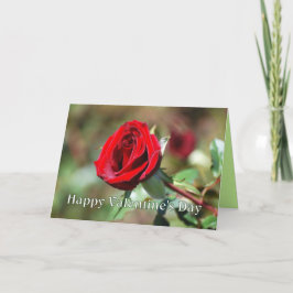 Glückliche Valentinstag-Rote Rose Feiertagskarte