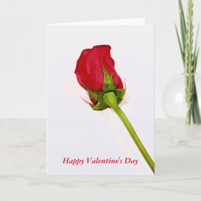 Glückliche Valentinstagkarte Feiertagskarte (Vorderseite)