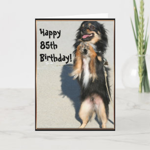 Glücklicher 85. Geburtstag Chihuahua Grußkarte Karte
