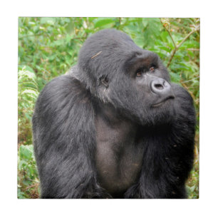 Glücklicher Affe Fliese