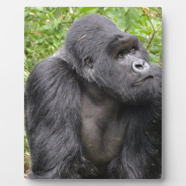 Glücklicher Affe Fotoplatte (Vorderseite)
