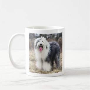 Glücklicher alter englischer Schäferhund Fluffiges Kaffeetasse