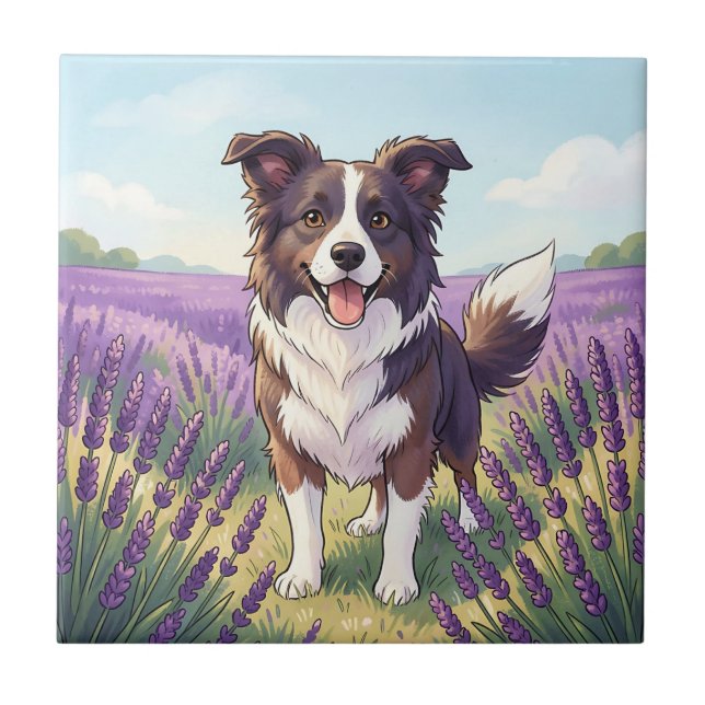 Glücklicher Border Collie auf einem Lavendelfeld Fliese (Vorderseite)
