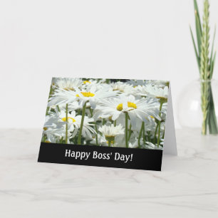 Glücklicher Boss' Day! Karten Weiße Daisy Blume Bo