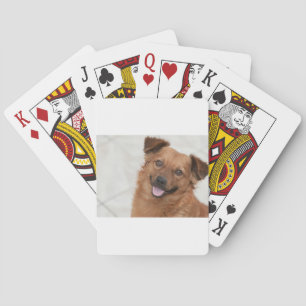 Glücklicher brauner Welpe Hund Spielkarten