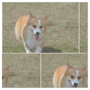 Glücklicher Corgi Stoff