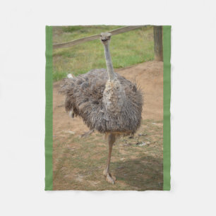 Glücklicher Emu stehend auf einer Beindecke Fleecedecke