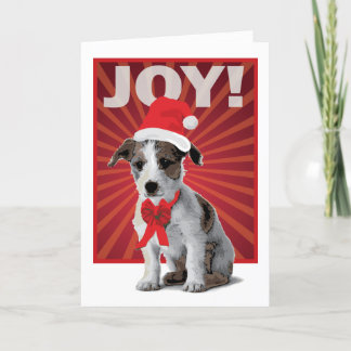 Glücklicher Feiertags-Hund - Jack Russell Sankt Feiertagskarte