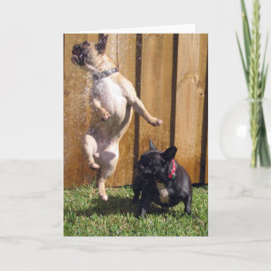 Glücklicher Französische Bulldogge Karte