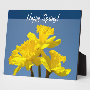 Glücklicher Frühling! Plaques Gelbe Daffodil Blume Fotoplatte