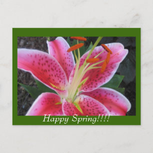 Glücklicher Frühling!!Postkarte Postkarte
