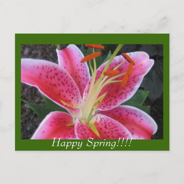 Glücklicher Frühling!!Postkarte Postkarte (Vorderseite)
