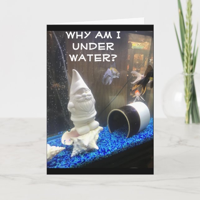 GLÜCKLICHER GEBURTSTAG AUS DEM HUMOROUS GNOME KARTE (Vorderseite)