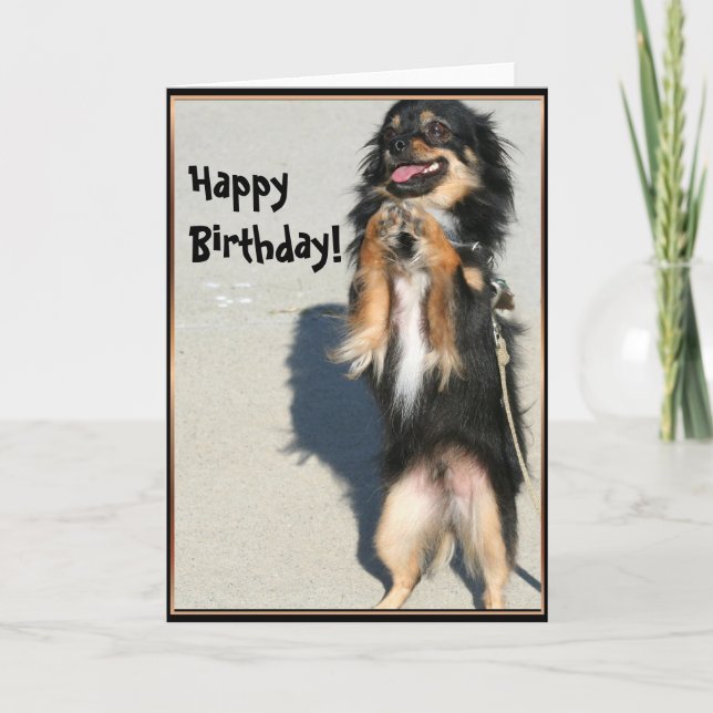 Glücklicher Geburtstag Chihuahua Grußkarte Karte (Vorderseite)