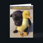 GLÜCKLICHER GEBURTSTAG FÜR SIE **GRANDDAUGHTER** K KARTE<br><div class="desc">GLÜCKLICHER GEBURTSTAG ***GRANDDAUGHTER**** DANKE,  DASS SIE VON EINER MEINER ACHT GESCHÄFTE GESCHAFFEN HABEN!</div>