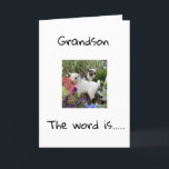 GLÜCKLICHER GEBURTSTAG FÜR SIE **GRANDSON** KARTE<br><div class="desc">GLÜCKLICHER GEBURTSTAG ***GRANDSON**** DANKE,  DASS SIE VON EINER MEINER ACHT GESCHÄFTE GESCHAFFEN HABEN!</div>