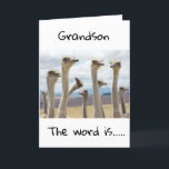 GLÜCKLICHER GEBURTSTAG FÜR SIE **GRANDSON** KARTE<br><div class="desc">GLÜCKLICHER GEBURTSTAG ***GRANDSON**** DANKE,  DASS SIE VON EINER MEINER ACHT GESCHÄFTE GESCHAFFEN HABEN!</div>