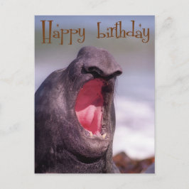 glücklicher Geburtstag Postkarte