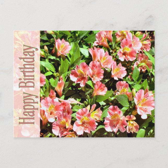 glücklicher Geburtstag Postkarte (Vorderseite)