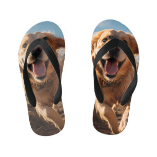 Glücklicher Golden Retriever läuft Kinderbadesandalen