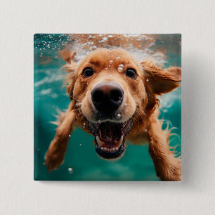 Glücklicher Golden Retriever Schwimmt Unterwasser Button