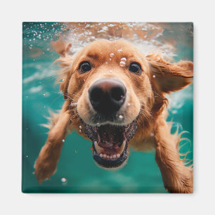 Glücklicher Golden Retriever Schwimmt Unterwasser Magnet