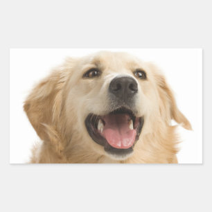 Glücklicher Golden Retriever Welpe Hund Aufkleber