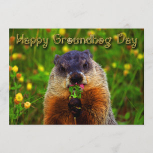 Glücklicher Groundhog Tag Blume essend Einladung
