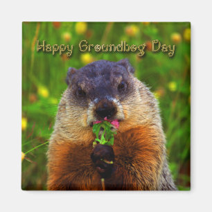 Glücklicher Groundhog Tag Blume essend Magnet