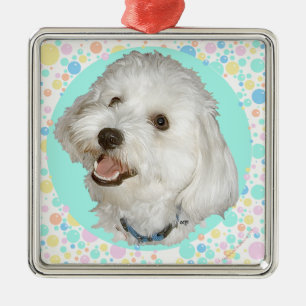 Glücklicher Havanese Ornament Aus Metall