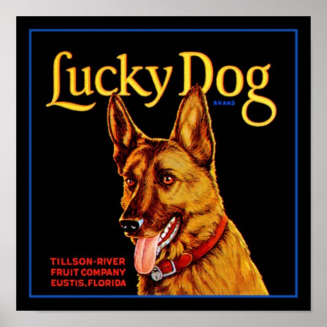 Glücklicher Hund Poster (Vorne)