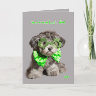Glücklicher Hund St. Patricks Tages Karte