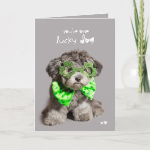 Glücklicher Hund St. Patricks Tages Karte