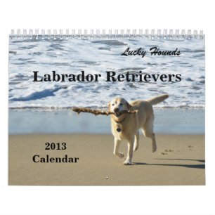 Glücklicher Jagdhund-Labrador retriever-Kalender Kalender