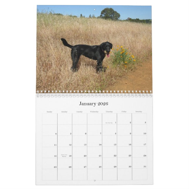 Glücklicher Jagdhund-Labrador retriever-Kalender Kalender (Jan 2026)