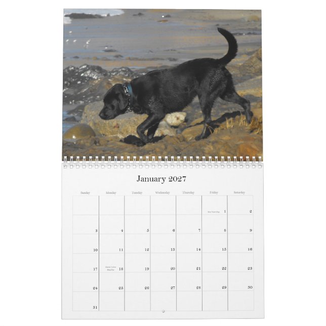 Glücklicher Jagdhund-Retriever-Kalender 2012 Kalender (Jan 2027)