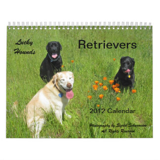 Glücklicher Jagdhund-Retriever-Kalender 2012 Kalender